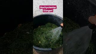 3 Möglichkeiten Rasenschnitt im Garten sinnvoll zu nutzen [upl. by Homere]