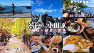 【熱海vlog】最高…2泊でグルメと観光をフル満喫【ATAMI TRIP】 [upl. by Abbe]