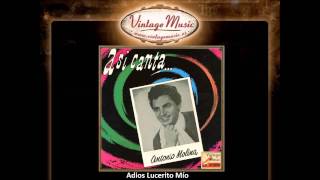 Antonio Molina  Adios Lucerito Mío Habanera VintageMusices [upl. by Selmner]