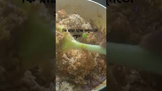 কি রান্না হচ্ছে 😋reels cooking [upl. by Ahrendt945]