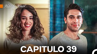 Alas de Amor Capitulo 39 Doblado En Español [upl. by Edas]