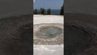 Bubbling HOT spring YELLOWSTONE 🫧 [upl. by Ardnassak]