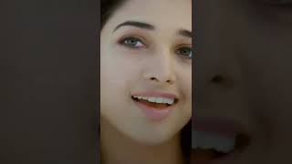 Tamannaah amp Jayam Ravi Comedy Scenes shorts thillalangadi Jayamravi tamannaah Sunnxt [upl. by Aoh]