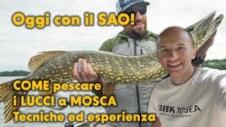 Oggi con il SAO Parliamo di COME pescare i LUCCI a MOSCA dopo la sua ESPERIENZA in SVEZIA [upl. by Sunil491]