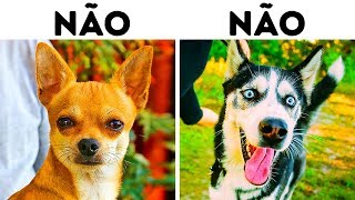 10 Raças de Cães Perigosas para Famílias com Crianças [upl. by Nelie994]