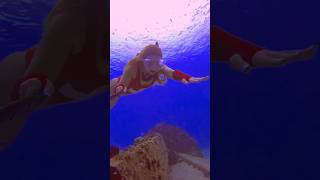 Freediver looks for shells🐚 freediver freediving oceansounds underwater mermaidlife asmr [upl. by Imotas]