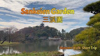 231123 Autumn in Sankeien Gardenyokohama sankeien autumn [upl. by Wunder478]