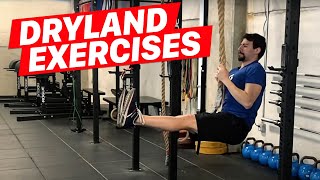 Dryland Exercises for Swimmers [upl. by Jarred70]