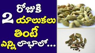 Yalukalu Secret Health Tips In TeluguAmazing Health Benefits Of CardamomElaichi Health Benefits [upl. by Notwal]