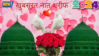 🤲♥️2024 khubsurat naat Sharif🩷zoyamuzamildailyvlog🤲💚🌹♥️ [upl. by Nivle547]