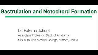 Gastrulation amp Notochord Formation Explained with attractive images by Dr Fatema Johora [upl. by Ellezaj]