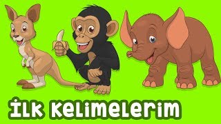 Bebekler İçin Hayvanlar  Gerçek Hayvan Sesleri  İLK KELİMELERİM [upl. by Akeme]