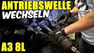 AUDI A3 8L ANTRIEBSWELLE WECHSELN  AUSBAUEN TUTORIAL  ANLEITUNG [upl. by Berlinda]