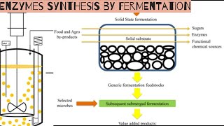 Enzymes synthesis by fermentation [upl. by Thane479]