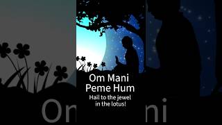 Can This Mantra Change Your Life Om Mani Peme Hum [upl. by Tsirc]