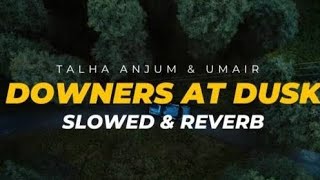 Talha Anjum  Downers At Dusk Full Video Song music song video [upl. by Torp]