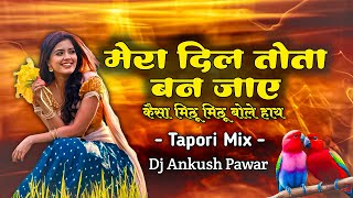 Mera Dil Tota ban Jay Tapori Mix Dj Ankush Pawar  Kaisa Mithu Mithu bole hay hindidjsong [upl. by Azial]