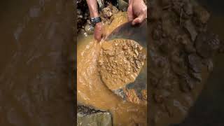 the process of extracting gold under rocks between tree roots [upl. by Annez]