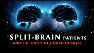 SplitBrain Patients and the Unity of Consciousness  Documentary [upl. by Trevor377]