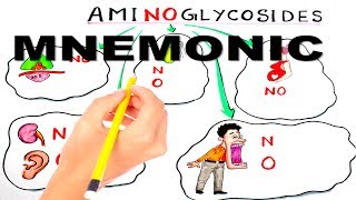 Aminoglycoside Mnemonic series 2 [upl. by Taimi98]