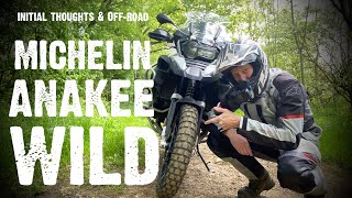 Reviews Bikes amp Stuff Michelin Anakee Wild tyres [upl. by Anoj]