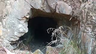 Exploring an Old Gold Mine South Berringa Prospecting Tunnel [upl. by Thorstein]