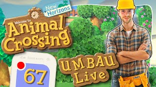 🔴 ANIMAL CROSSING NEW HORIZONS 🏝️ 67 Noch mehr Büsche amp Spielplatz Update beim LiveUmbau [upl. by Marianne]