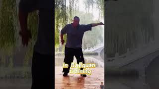 Bajiquan training exhale when exerting force martialarts kungfuskills [upl. by Prisilla]