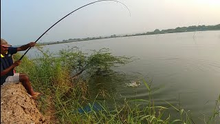 Fishing  Catching Rohu fishes amp mrigal fishes [upl. by Hadias]