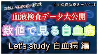 血液検査データ公開 数値で見る白血病 Lets study 白血病編 [upl. by Yziar215]