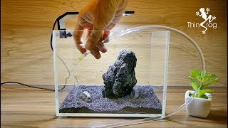 Setting up my new betta fish tank [upl. by Ahtael]