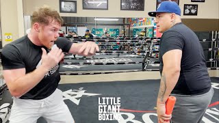 CANELO TRAINING TO KNOCK OUT CALEB PLANT SAVAGELY DRILLING COMBINATIONS AND COUNTER ATTACKS [upl. by Osmond7]