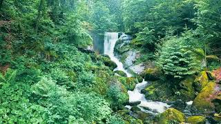 Journey Through the Black Forest  Episode 10 Triberg Waterfall [upl. by Yenitirb]