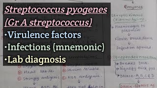 Streptococcuspart2 Group A streptococcus  Virulence factors  Clinical features  Lab diagnosis [upl. by Oirevlis823]