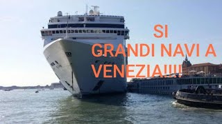 Incidente Nave MSC a Veneziaparlano i veneziani SI GRANDI NAVI [upl. by Ohploda]