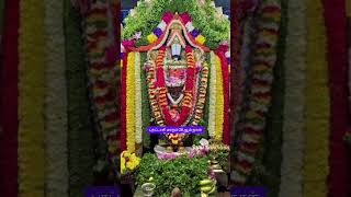 namo namo narayanaperumal god songs sri venkateswara song youtubeshorts tamil trending [upl. by Pandich]