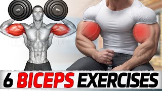 6 MAGIC Exercises to Get Huge Biceps [upl. by Walliw]