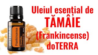 Uleiul esential de TAMAIE FRANKINCENSE doTERRA  Utilizare amp Beneficii [upl. by Debi]