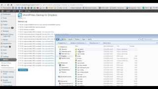 WordPress Backup Plugin  How to Use Video Tutorial [upl. by Telimay]