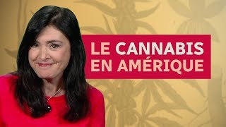 Ça date pas dhier  le cannabis en Amérique [upl. by Audley988]