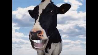 Vache qui chante [upl. by Madea]