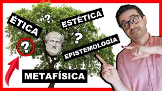 ðŸŒ³ Las RAMAS DE LA FILOSOFIÌA â–º 193 Disciplinas FASCINANTESðŸ˜Ž [upl. by Selda]