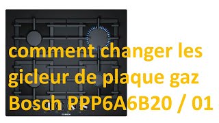 comment changer les gicleur de plaque gaz Bosch PPP6A6B20  01 [upl. by Baskett448]