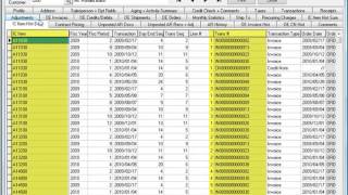 Accpac 265 Training v56 60 Accounts Receivable Inquiry [upl. by Atilahs]