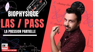 La PRESSION partielle la FRACTION molaire la loi des gaz PARFAIT  🧭 Comment les appliquer [upl. by Rosamond]