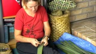 How to prepare harakeke NZ FlaxPhormium part 1 [upl. by Arrej]