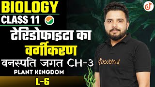 Classification of Pteridophytes  वनस्पति जगत Class 11 Biology Chapter 3  Plant Kingdom  L  6 [upl. by Trinee764]