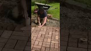 Paving with bricks garden landscaping diy [upl. by Ellinehc689]