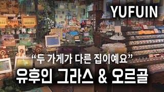 🇯🇵유후인 상점가에서 가본 유리공예점과 오르골 가게 자세히 보기  일본여행 쇼핑  Glass Forest  Yufuin Music Box Forest Japan [upl. by Krall375]