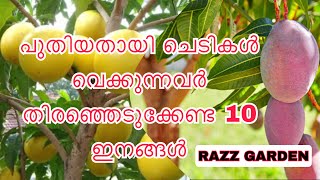 10 fruit varieties to be planted for new gardeners പുതിയതായി വെക്കുന്നവർ തിരഞ്ഞെടുക്കേണ്ട 10 ഇനങ്ങൾ [upl. by Garris]